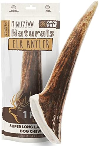 Mighty Paw Elk Antlers For Dogs | Medium Size 6" Premium Deer Antlers For Dogs, Pets And Puppies. Long Lasting Deer Antler Dog Chew For Aggressive Chewers. Dog Antler Chews For Large And XL Dog (2pk)