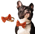  Burnt Orange Dog Bowtie Collar, Dog Wedding Collar, Terracotta Wedding Dog Collar, Formal Dog Collar, Wedding Apparel For Dogs, Dog Collars, Formal Dog Collars (Large: 13.5-16.5" Neck)