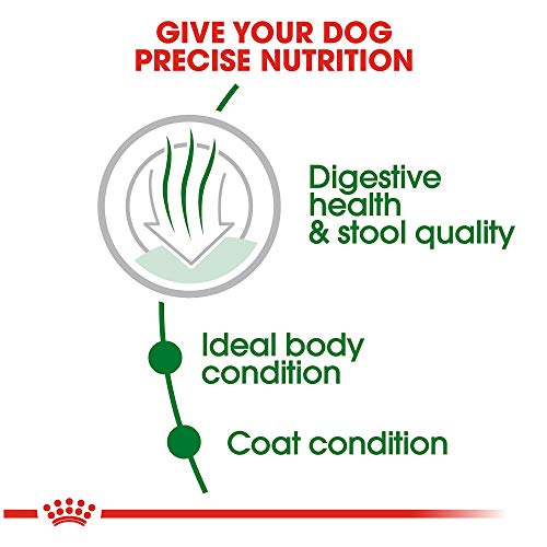  Royal Canin Small Indoor Adult Dry Dog Food, 2.5 Lb Bag