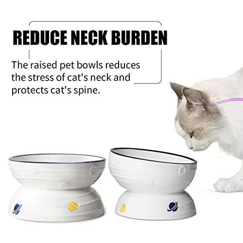  Hasense Tilted Cat Bowl Anti Vomiting, Double Raised Cat Bowls For Food And Water, Elevated Ceramic Small Dog Feeder, Protect Pet's Spine, Dishwasher Safe, Porcelain Slanted Dishes, White Set Of 2