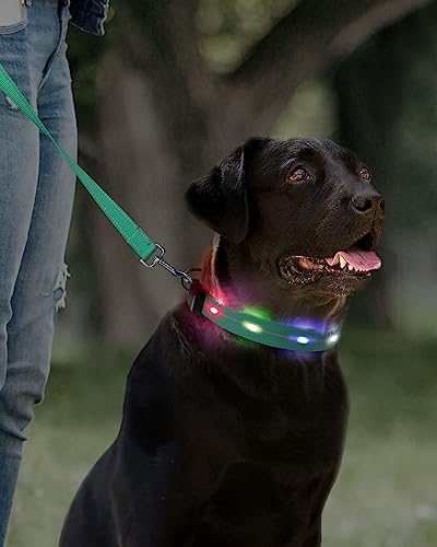  Joytale Light Up Dog Collars Rechargeable, High Visibility LED Dog Collar for Pet Night Walking, 3 Flash Modes, Rainproof PVC Glow Collar Adjustable for Small Medium Large Dogs, Teal, L