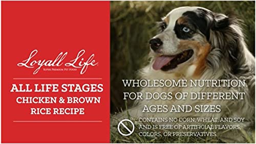  Loyall Life All Life Stages Chicken & Brown Rice Recipe Dog Food (20 Pounds)