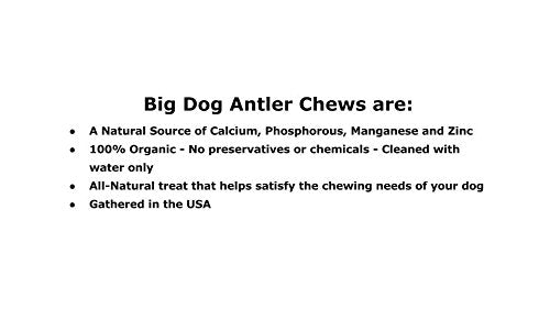  Premium Deer Antler Pieces - Dog Chews - Antlers By The Pound, One Pound - Six Inches Or Longer - Medium, Large And XL - Happy Dog Guarantee!