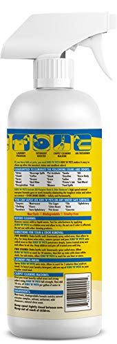  Kids 'N' Pets – Instant All-Purpose Stain & Odor Remover – 27.05 Oz - (800 Ml) – Pack Of 2 - Proprietary Formula Permanently Eliminates Tough Stains & Odors – Even Urine Odors