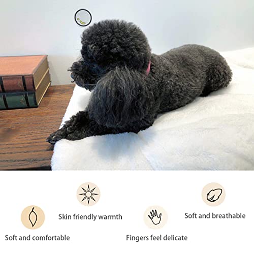 GENERIC Yellow Ultra Soft Thick Flannel Dog Cat Bed Mats Breakfast Food Cartoon Like Image Soft Warm Puppy Blanket Cover Dog Cat Fluffy Fur Blanket Sleep Fast Food Dessert 22" X 28"