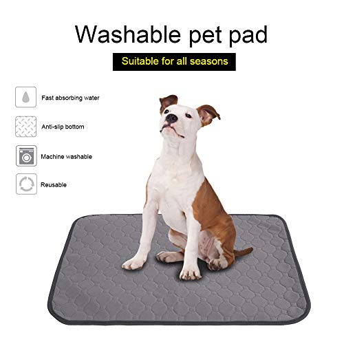  Pet Pee Pad Washable Dog Pee Pads Reusable Puppy Dog Training Pads Waterproof Whelping Pads Absorbent Pet Training Mat With Anti Slip Bottom For Dog Cat(L Gray)