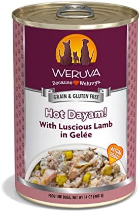  Weruva Classic Dog Food, Steak Frites Dinner With Beef, Pumpkin & Sweet Potato In Gravy, 14oz Can (Pack Of 12)