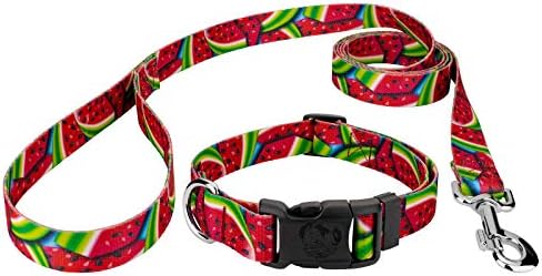  Country Brook Petz - Deluxe Scorching Peppers Dog Collar And Leash Limited Edition - Tasty Collection With 5 Yummy Designs (1/2 Inch, Extra Small)