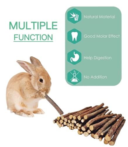  XLpeixin Apple Sticks Natural Chew Toys And Treats For Chinchilla Guinea Pig Hamster Gerbil Rabbit Chew Toys For Teeth,Chew Sticks For Rabbits (Thin 600g-21oz)…