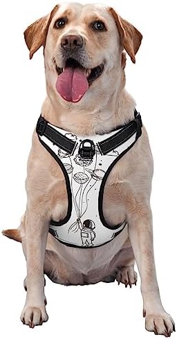  Food Illustration No Pull Dog Harness Adjustable Puppy Harness Reflective Dog Vest Harness Wear-Resistant Oxford Cloth Dog Harness With Leash For Small Medium Large Dogs