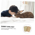  POPETPOP 4 Pcs Rabbit Mat Toys For Guinea Pigs Kitten Toys Guinea Pig Chew Toys Small Animal Grass Mat Small Animal Bedding Hamster Cooling Mat Cooling Grass Mat Natural Pet Bed