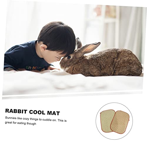  POPETPOP 4 Pcs Rabbit Mat Toys For Guinea Pigs Kitten Toys Guinea Pig Chew Toys Small Animal Grass Mat Small Animal Bedding Hamster Cooling Mat Cooling Grass Mat Natural Pet Bed