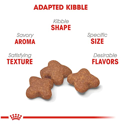  Royal Canin Small Adult 8+ Dry Dog Food, 2.5 Lb Bag