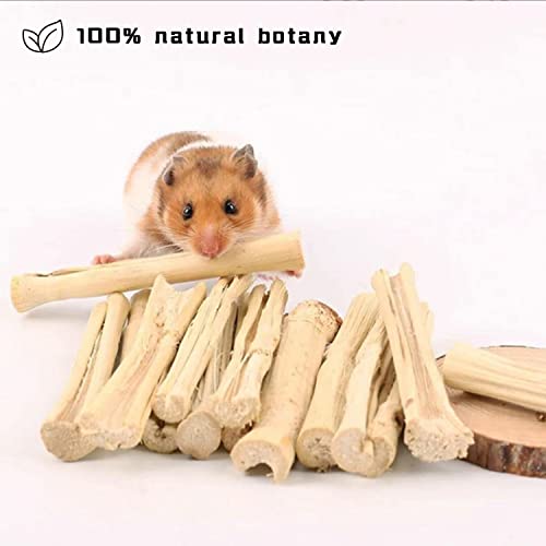  WYOMER 2lb Sweet Bamboo Chew Toy Natural Sweet Bamboo Animals Molar Chew Sticks Toys Pet Snacks Bamboo Sticks Treats
