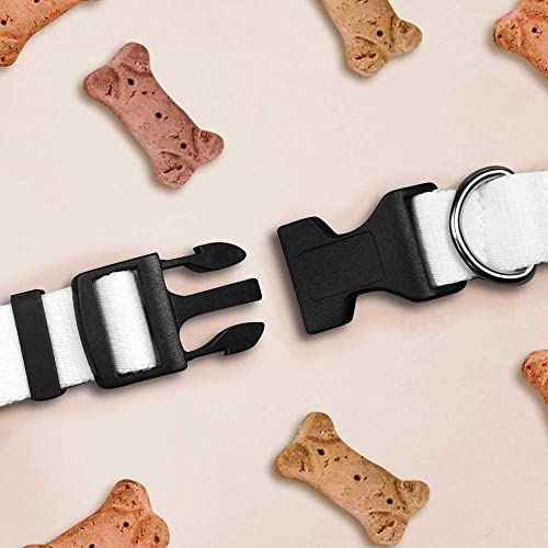  Small 'Fast Food' Dog Collar (PR00032645)