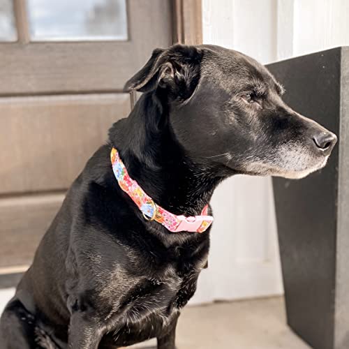  Steel Mill & Co Adjustable Dog Collar With Quick Release Buckle, Heavy Duty Canvas, Cute Floral Dog Collars For Medium And Large Dogs, Summer Garden