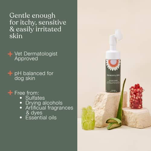  Dandylion Clean Paws | No-Rinse Foaming Cleanser | Gentle, Fragrance-Free, And PH Balanced To Provide A Deep Clean Safe For All Dogs | 5fl Oz. Bottle With Silicone Bristle Brush