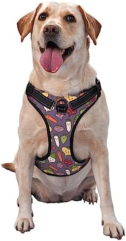  Cartoon Vegetable Food No Pull Dog Harness For Large Dogs No Pull Dog Leash, Adjustable Large Dog Harness Reflective Dog Vest Harness, Easy Walk Dog Harness For Medium Dogs No Pull Pet Harness