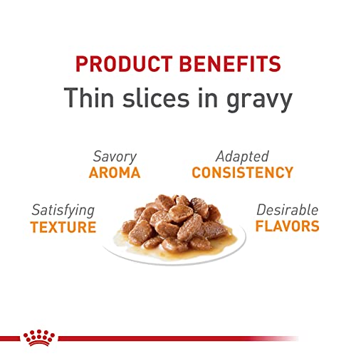  Royal Canin Feline Care Nutrition Hair & Skin Care Thin Slices In Gravy Canned Cat Food, 3 Oz Cans 24-count