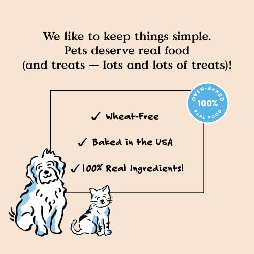  Bocce's Bakery Dailies Brushy Sticks To Support Oral Health & Fresh Breath, Wheat-Free Dental Bars For Dogs, Made With Real Ingredients, Baked In The USA, All-Natural Coconut & Mint, Medium Dogs
