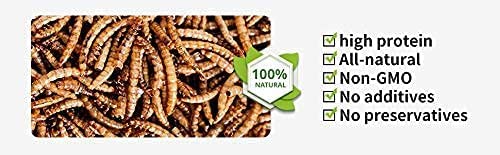  Kimoe 5LB 100% Natural Non-GMO Dried Mealworms-High-Protein For Birds, Chicken，Ducks