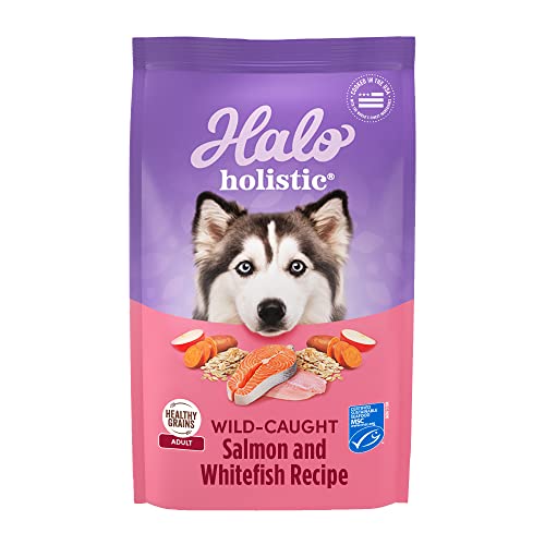  Halo® Holistic Adult Dog Healthy Grains Wild-Caught Salmon & Whitefish Recipe 3.5 Lb