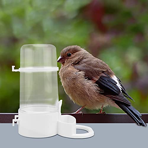  6 Pcs Spray Poultry For Anti- Household Dog Cup Container Pajaros Quail And Bottle Supplies Farm Drinking Chicken Bath Jug Multipurpose Shop, Automatic Hummingbird Cage Hanging