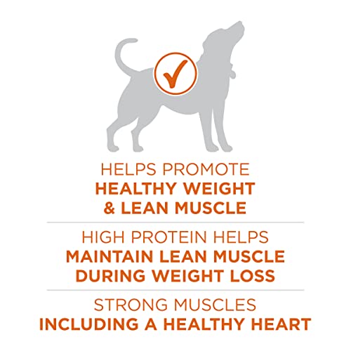  Purina ONE Plus Healthy Weight High-Protein Dog Food Dry Formula - 31.1 Lb. Bag