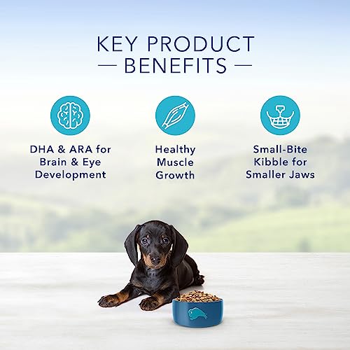  Blue Buffalo Life Protection Formula Natural Puppy Small Breed Dry Dog Food, Chicken And Oatmeal 5-lb Trial Size Bag