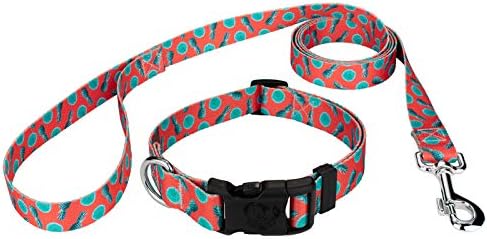 Country Brook Petz - Deluxe Scorching Peppers Dog Collar And Leash Limited Edition - Tasty Collection With 5 Yummy Designs (1/2 Inch, Extra Small)
