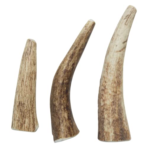  Health Extension Natural Elk Antlers For Dogs Chews, Long-Lasting Bone For Aggressive Chewers, Puppy Training Treat, Promote Healthier Dental Teeth And Gums, Small Whole Size