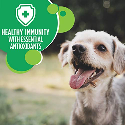  IAMS Small & Toy Breed Adult Dry Dog Food For Small Dogs With Real Chicken, 15 Lb. Bag