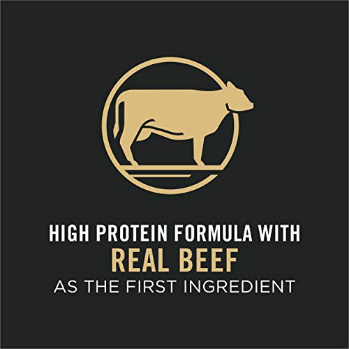  Purina Pro Plan High Protein Dog Food With Probiotics For Dogs, Shredded Blend Beef & Rice Formula - 6 Lb. Bag
