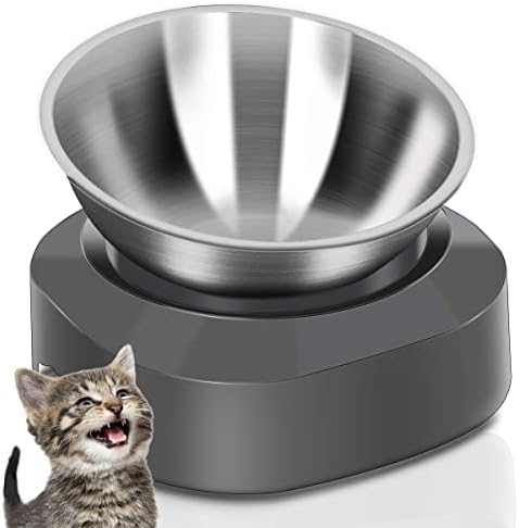  AYADA Raised Cat Food Bowl Set, Stainless Steel Cat Dish For Food Water Anti Vomiting Elevated With Stand Ergonomic Lifted Slanted Tilted 15 Angle Metal Double Kitty Kitten Wet Food Bowl 2 Pet Bowl