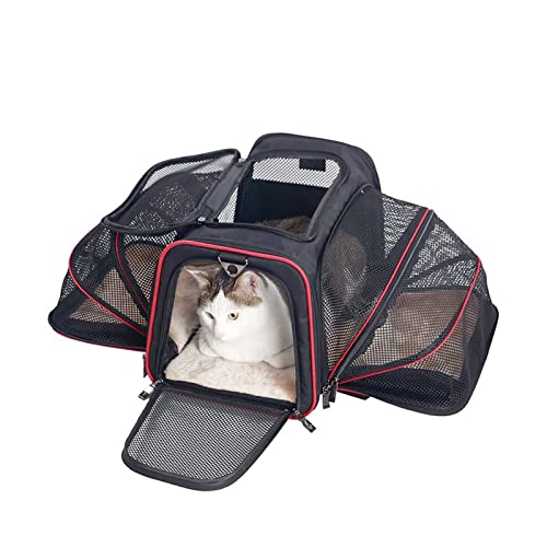  AYENCI Pet Backpack, Pet Carriers Bag Portable Breathable Foldable Bag Cat Dog Carrier Bags Outgoing Outdoor Travel Pets Cats Handbag Safety Zippers (Color : Red, Size : Small)
