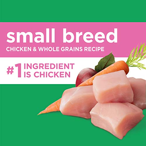  IAMS Small & Toy Breed Adult Dry Dog Food For Small Dogs With Real Chicken, 15 Lb. Bag