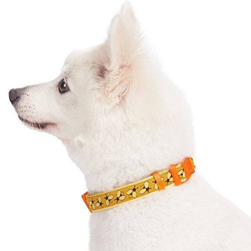  Blueberry Pet Essentials 10 Patterns Statement Busy Bees Designer Adjustable Dog Collar, Large, Neck 18"-26"