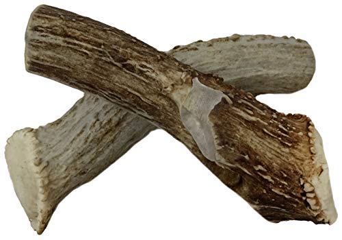  WhiteTail Naturals | Deer Antlers For Large Dogs (2 Pack- Jumbo XXL) All Natural Antler Dog Chew | Naturally Shed, Long Lasting Chew Bone, Made In USA