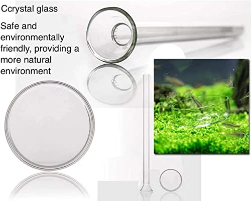 GENERIC 2in1 Shrimp Feeding Tube And Dish, Clear Crystal Glass Shrimp Feeder Tube Tray For Fish Tank Aquarium Shrimp (10in Feeding Tube + 60mm Dish)