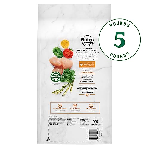  NUTRO NATURAL CHOICE Small Breed Senior Dry Dog Food, Chicken & Brown Rice Recipe Dog Kibble, 5 Lb. Bag