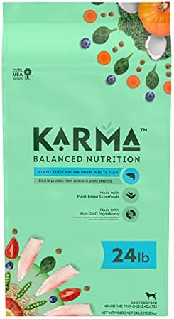  KARMA BALANCED NUTRITION Plant-First Recipe, Adult Natural Dry Dog Food With Chicken, 4 Lb. Bag