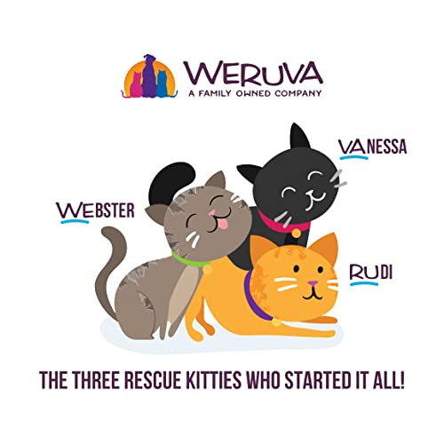  Weruva Cats In The Kitchen, Pumpkin Jack Splash With Tuna In Pumpkin Soup Cat Food, 3oz Pouch (Pack Of 12), Orange