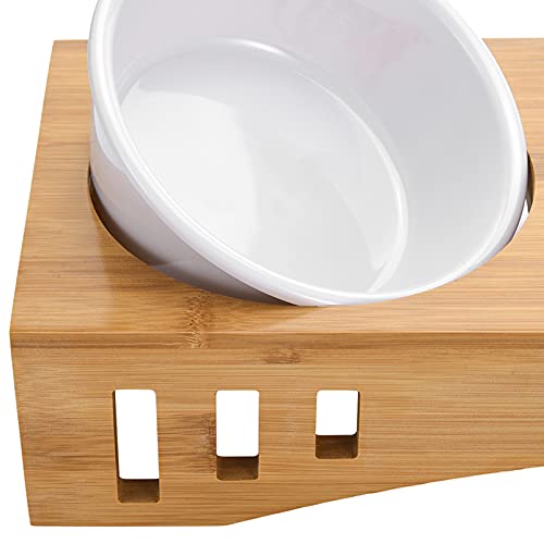  Automatic Aquarium Fish Feeder