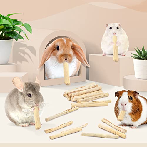  Bissap 700g/1.5Ib Sweet Bamboo Sticks For Rabbits, Bunny Chew Toys For Rabbits Hamster Chinchilla Guinea Pigs Rabbit Squirrel Small Animals Natural Treats Teeth Grinding Chew Sticks