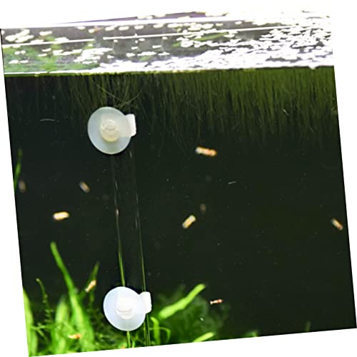  NOGRAX 1 Set Fish Tank Feeding Tube Clear Glass Clear Tray Auto Feeder Fish Feeder Tube Water Food Dish Acrylic Shrimp Feeding Tube Fish Feeding Supply Feeding Tube With Sucker Automatic Feeder (Colo