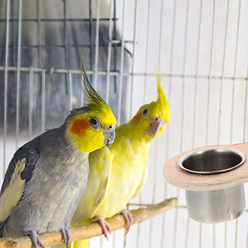  POPETPOP Glasses Bird Cage Bird Parrot Feeding Cups Bowls: Stainless Steel Food Water Bowls Dish For Small Animal Chinchilla Ferret Cockatiel Conure 2pcs Stainless Steel Drinking Food Containers