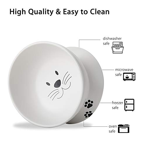  Cat Food Bowls, 10 OZ Elevated Cat Bowls For Cats And Small Dogs, Tilted Pet Feeder Bowl With Raised Stand Protect Cat's Spine, Ceramic Cat Water Bowl No-Spill, Stress Free Cat Dish 2pcs