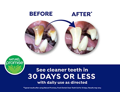  Naturel Promise Fresh Dental Clean Teeth Gel, 4 Fl Oz - Easy To Use Pet Dental Gel That Helps Remove Plaque, Tartar, And Freshen Breath-No Brushing Pet Oral Care For Dog Dental Care, Cat Dental Care
