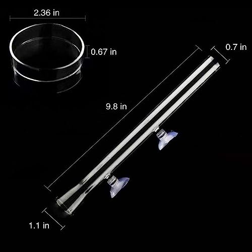 GENERIC 2in1 Shrimp Feeding Tube And Dish, Clear Crystal Glass Shrimp Feeder Tube Tray For Fish Tank Aquarium Shrimp (10in Feeding Tube + 60mm Dish)