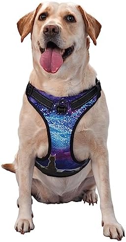  Cartoon Vegetable Food No Pull Dog Harness For Large Dogs No Pull Dog Leash, Adjustable Large Dog Harness Reflective Dog Vest Harness, Easy Walk Dog Harness For Medium Dogs No Pull Pet Harness